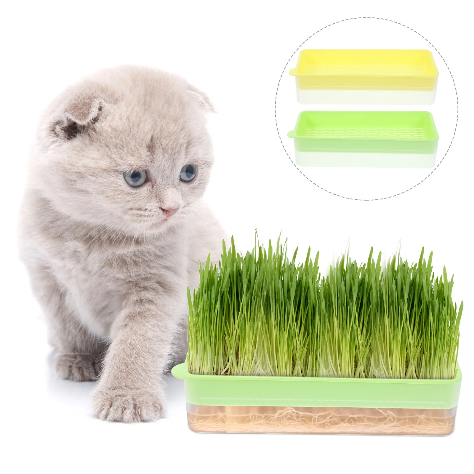

2 Pcs Hydroponic Planting Box Cat Grass Planters Indoor Cats Growing Kit Creative Catnip Plants Wheat Convenient