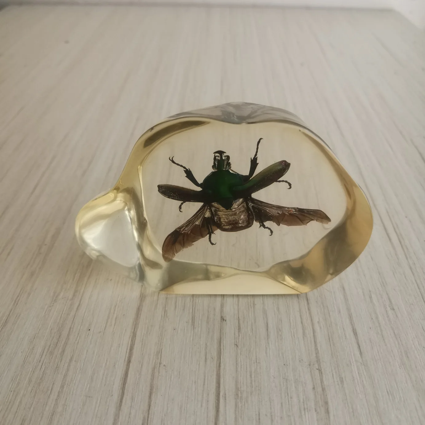 Янтарный образец насекомых эпоксидная смола пауки жуки модель скорпиона