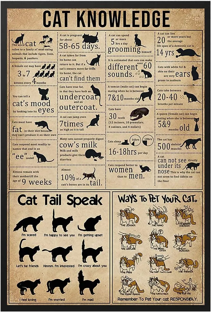 

Cat Knowledge Poster Metal Tin Sign Fun Old-Fashioned Cafe Farm Bathroom Toilet Bar Wall Decoration 12x18 Inches