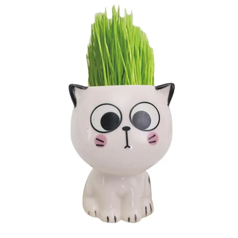 

Home Plants Pot Ceramic Cartoon Cats Shape Succulent Planter Home Plant Pot Mini Flower Pot Tabletop Cactus Pots For Sturdy