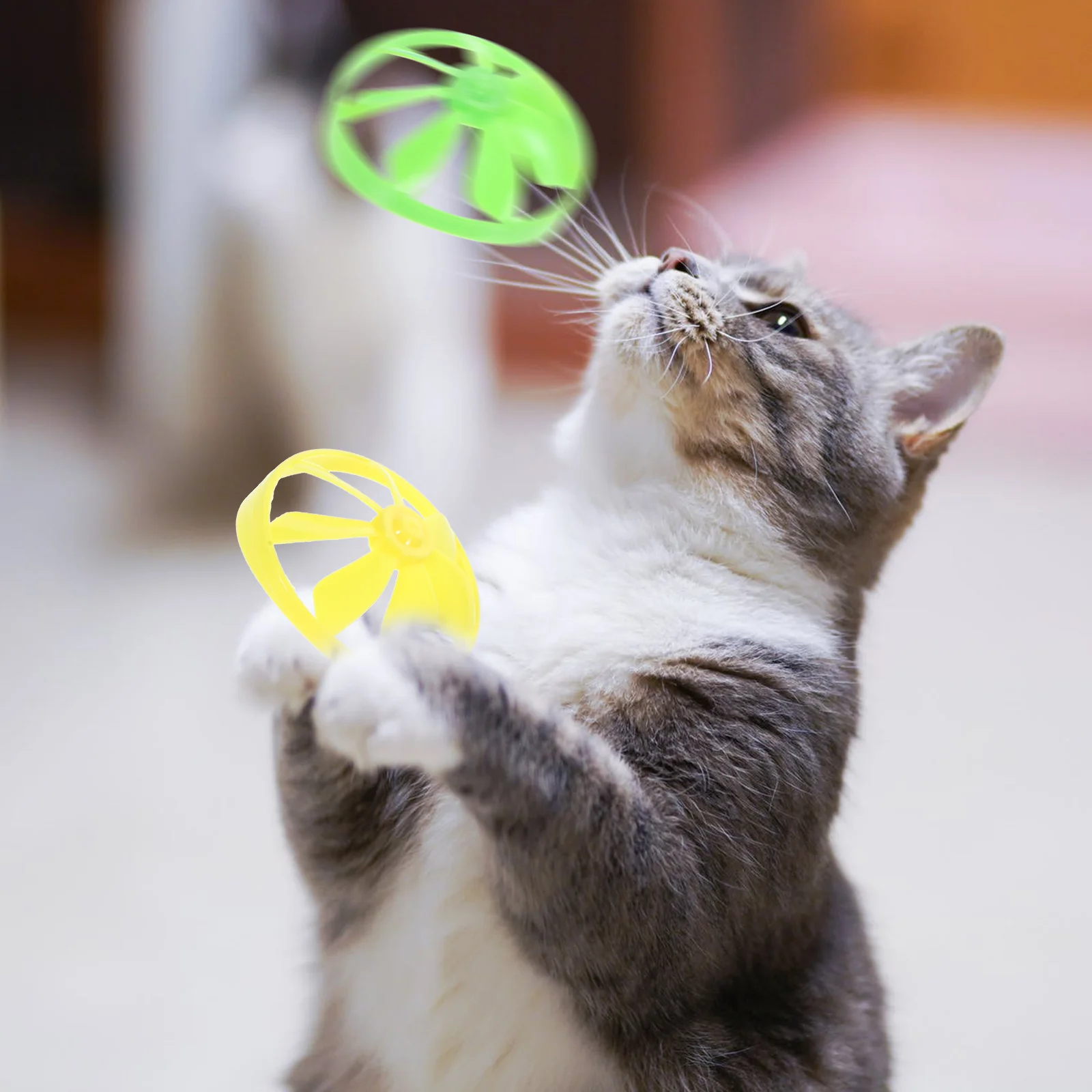 

2 Sets Flying Cat Toy Toys Playing With Cats Kids Kitten Disc Saucer Launchers Interactive Plaything Plastic Pets Chasing Child