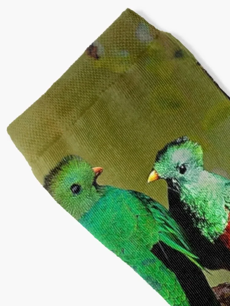 Носки для кетзал Чулки с подогревом велосипедные чулки мужские носки мужчин и