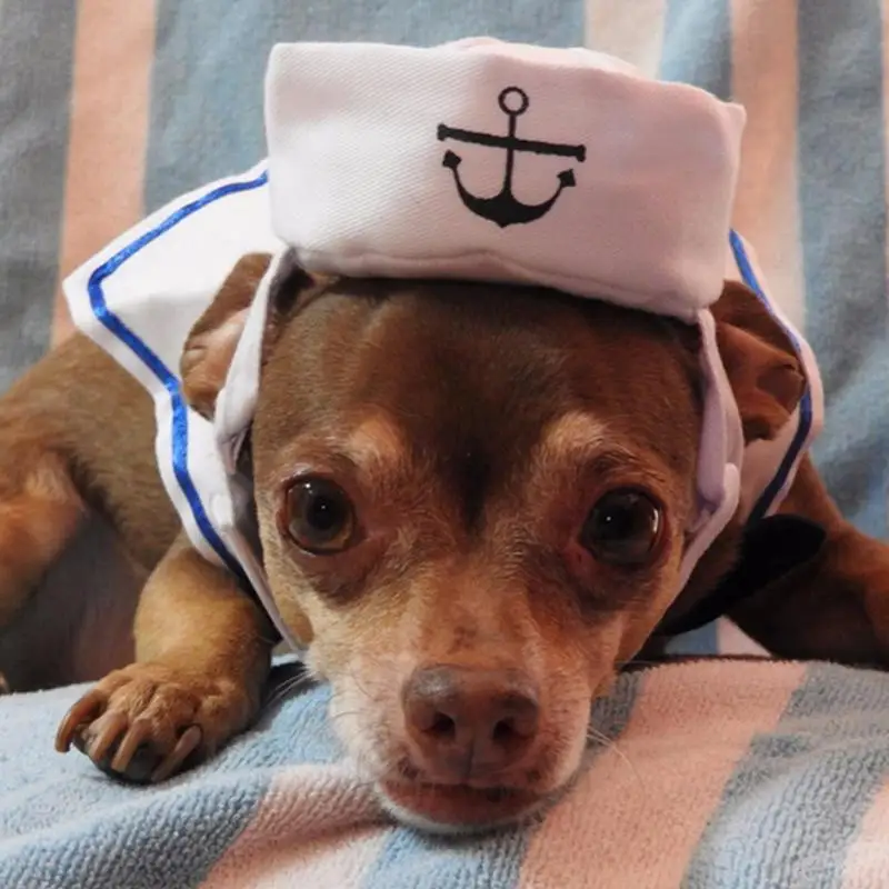 

2018 Lovely Stylish Navy And Sailor Style Hat Plus Scarf Suit For Dogs And Cats Pet And E Navy Cloak
