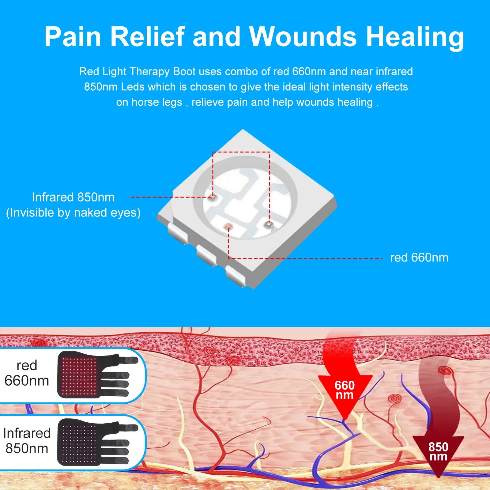 Ветеринарная терапия сапоги для копыт красным светом 660 нм 850 с запахом лошадей
