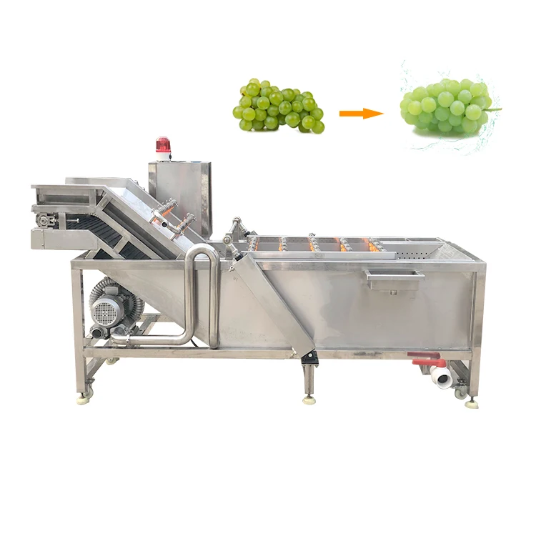 

Multifunctional Dried Rinsing Cleaner Air Tomato Ginger Bubble High Pressure Surf Type Fruit Wash Machine