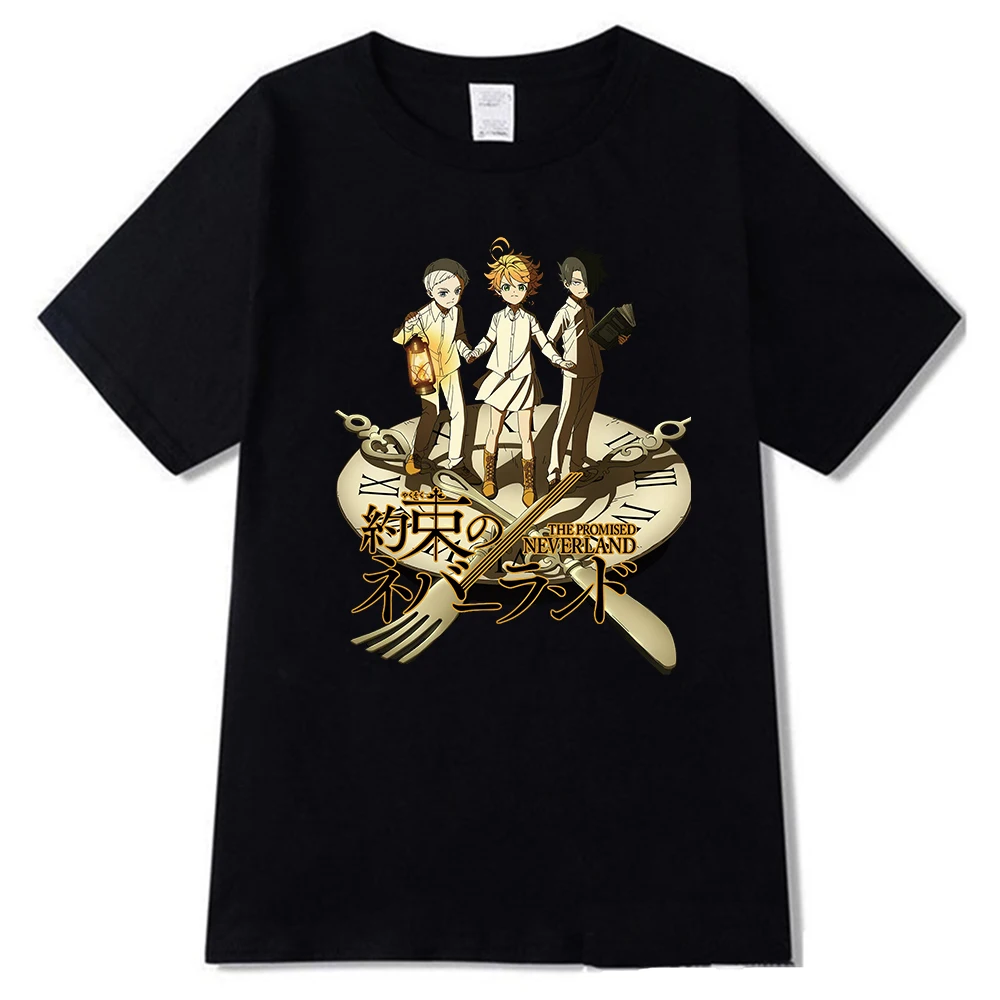 

Футболка мужская летняя в японском стиле Харадзюку