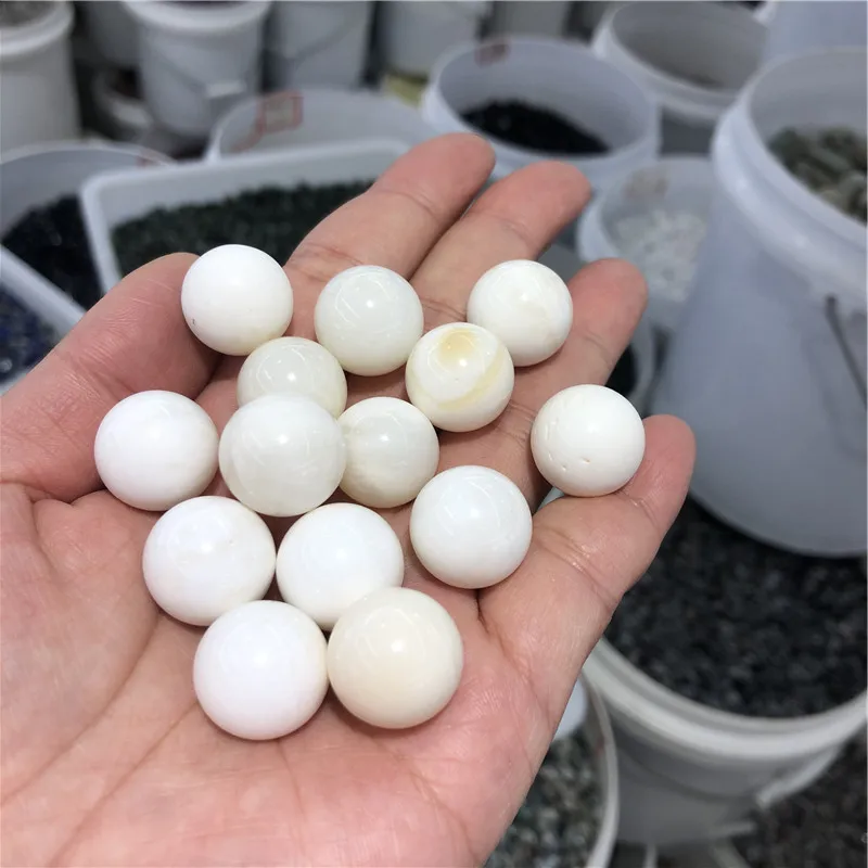 100 г настоящий жемчуг от tridacna gigas гигантский моллюск оболочка