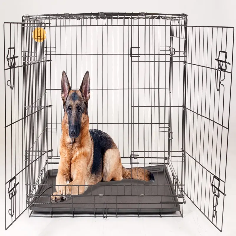 

Double Door Folding Wire Dog Crate, Black, Large, 48"L