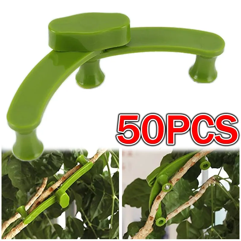 50pcs/set Plant Branch Bending  Holder Adjustable Reusable Branch Puller Branch Holder Clip Bonsai Styling Tool Garden Supplies