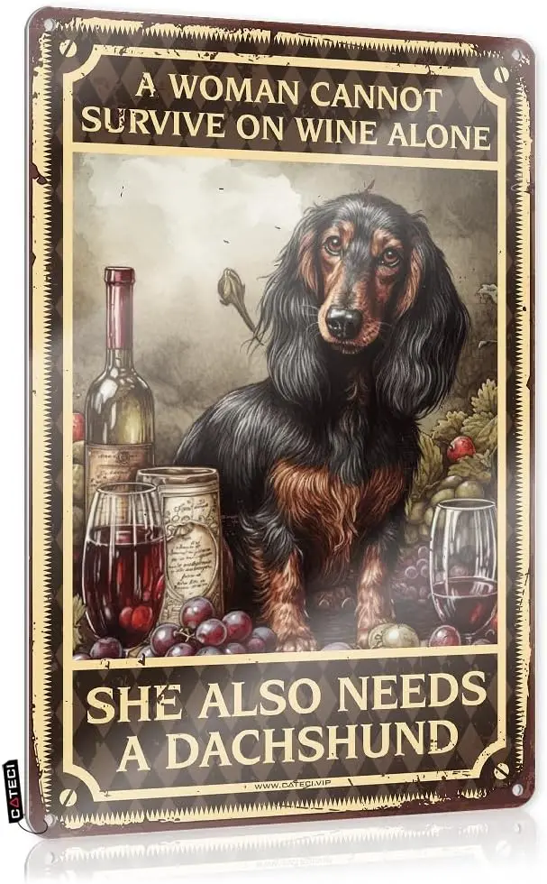 Металлический жестяной ретро знак Настенный декор-женщина не может выжить на