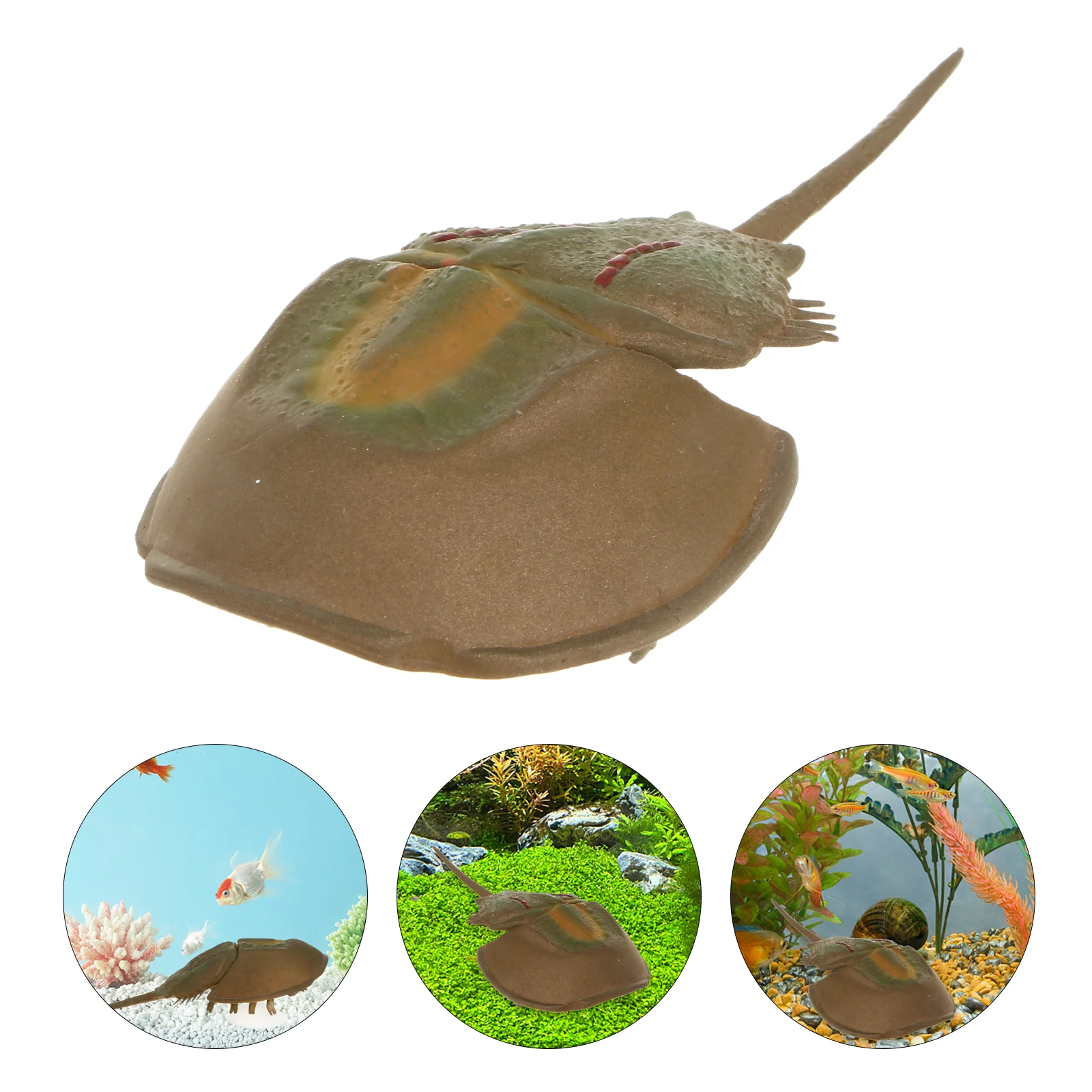 

Fish Aquarium Tank Sea Animals Ornaments Ornament Decor Oceantropical Figurines Floating Figure Figures Sculptureslandscaping
