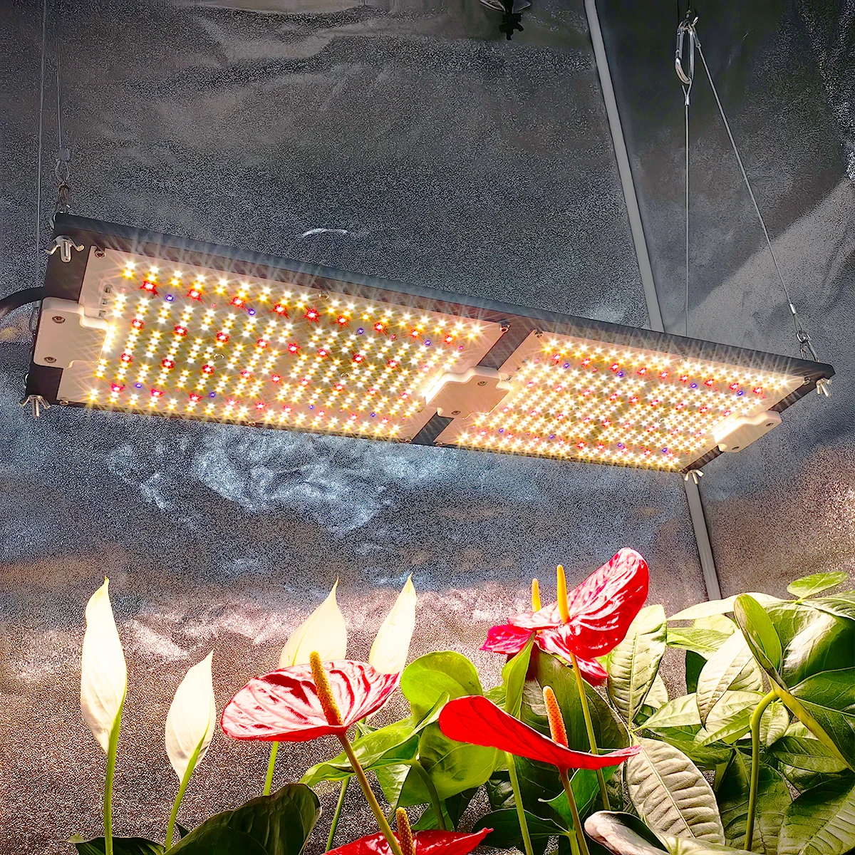 

ABEST Led лампа для роста растений с полным спектром, 240 Вт, искусственная доска Lm301H, УФ-Инфракрасная добавка, лампа для выращивания растений в помещении, теплица, палатка для выращивания растений