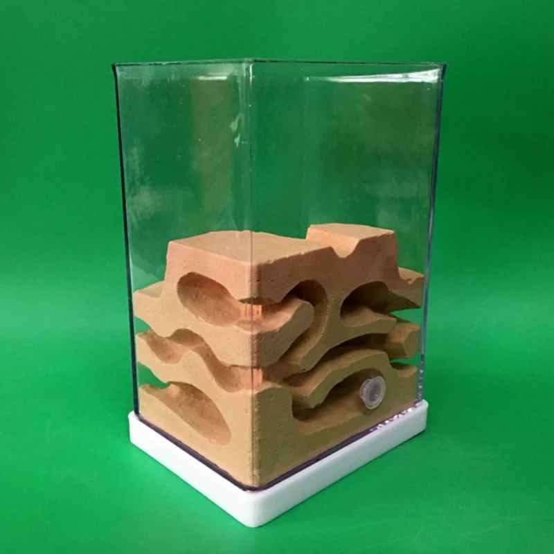 

Big Stacked Nest Ant Nest