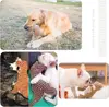 Pet Dog Squeaky Plush Dinosaur Toys Interactive Dog Chew Toys Plush Stuffing Pet Supplies Small Dog Chew Molar Toys 2