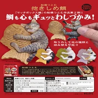 japan gashapon capsule toy cat holding taiyaki animal model table ornaments decoratoion cute gift collect