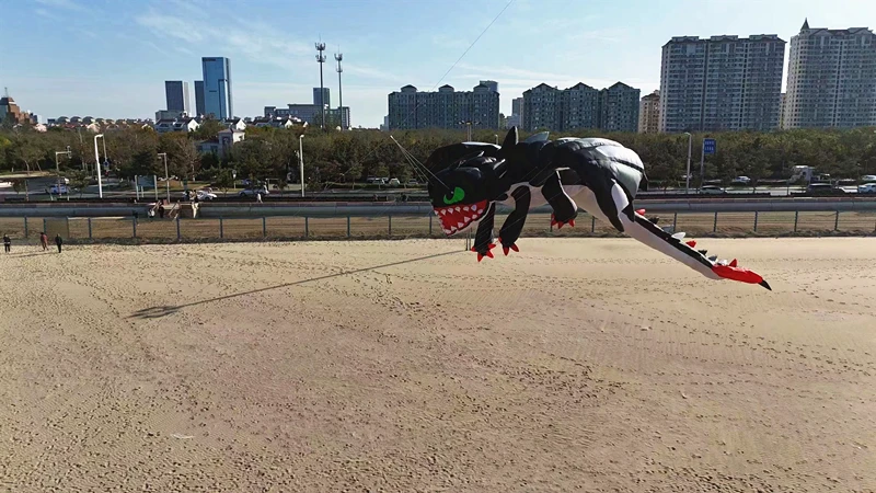Гигантские мягкие воздушные змеи 13 м черного дракона летающие профессиональные