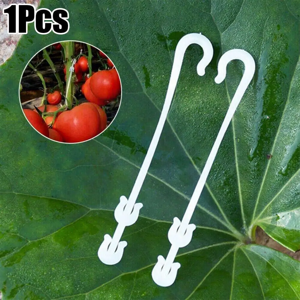 

J Shaped Fruit Cherry Tomato Ear Hook Garden Vegetable Hook Clips Plant Grape Trellis Buckle Fixed Support Fastener Vines X4Y0