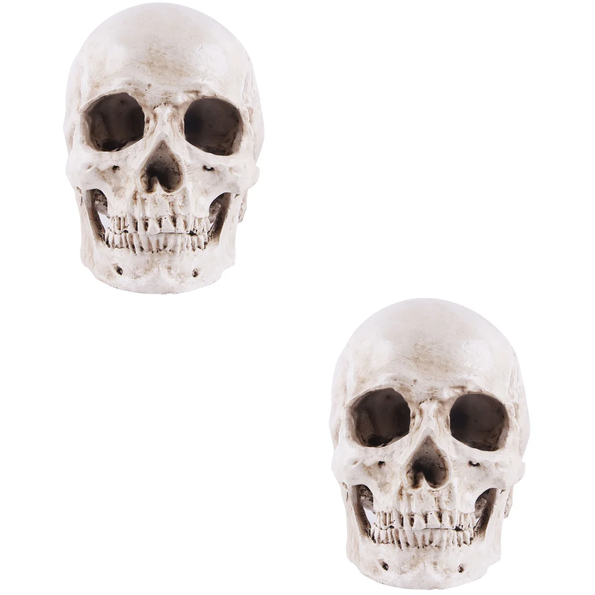 

2 шт., имитация каучука, модель человека, анатомическая, отслеживающая, Хэллоуин декоративная статуя