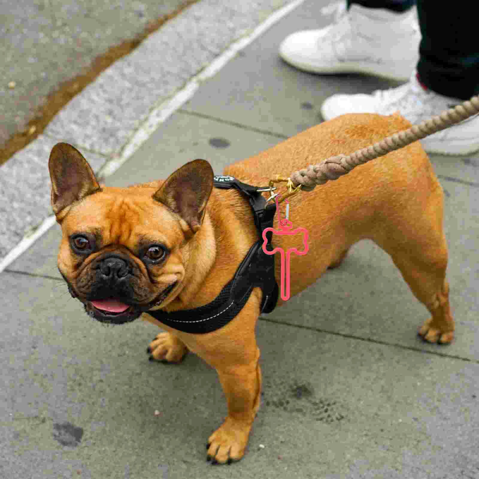 

Dog Waste Poop Holder Pet Leash Dispenser Clip Carrier Holders Garbage Hands Free Supplies Clipstreat Pouch Travel Pickup Puppy