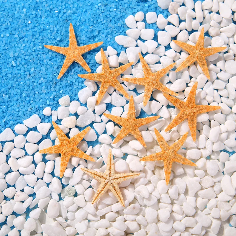 

Sea Shells 2-3cm 50Pcs/Bag Mini Starfish Craft Decoration Natural Sea Stars DIY