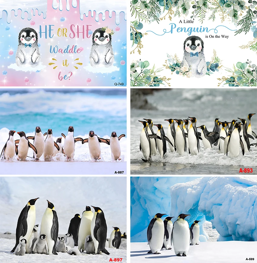 

A Little Penguin Is on The Way Backdrop Flower Branch Boy Newborn Birthday Baby Shower Custom Decor Poster Background