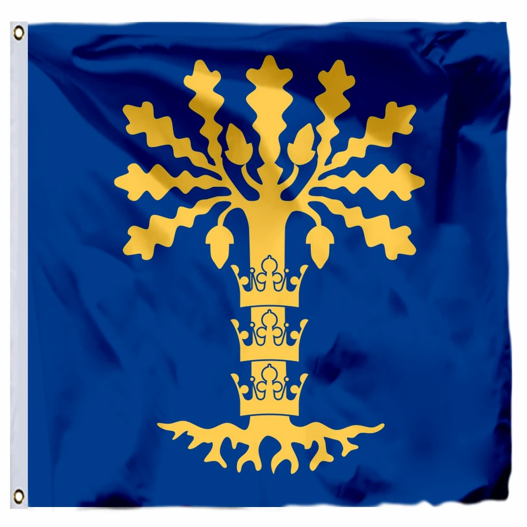 Высококачественный полиэстровый двойной банер Blekinge, 120х120см (4х4фт) 120 г 100D, бесплатная доставка