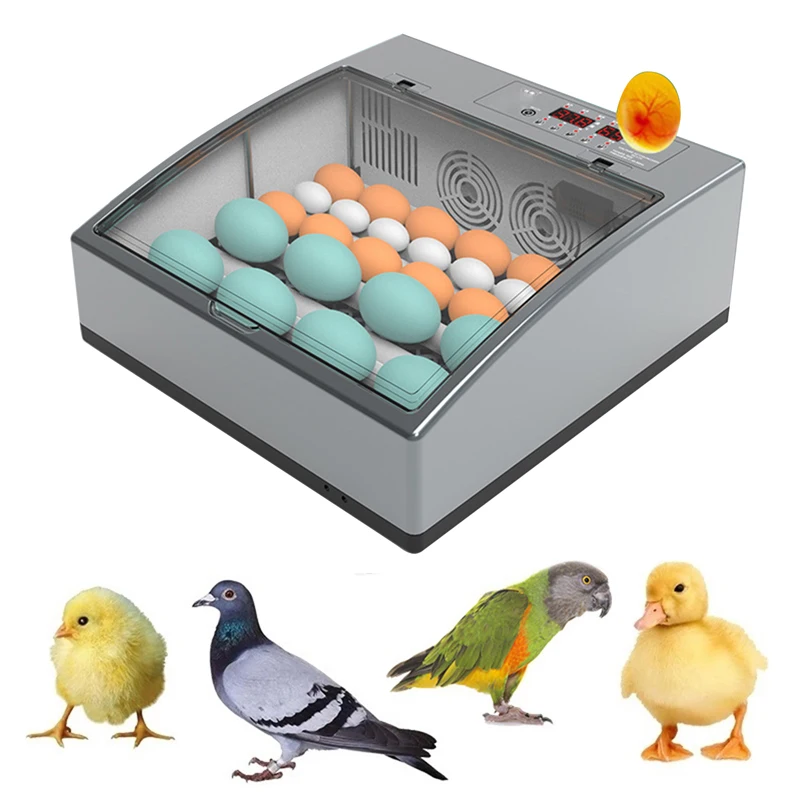 

Double Power 24 Eggs Incubator Fully Automatic Digital Mini Brooder Chicken Bird Egg Incubator Hatchery Farm Incubation Tool