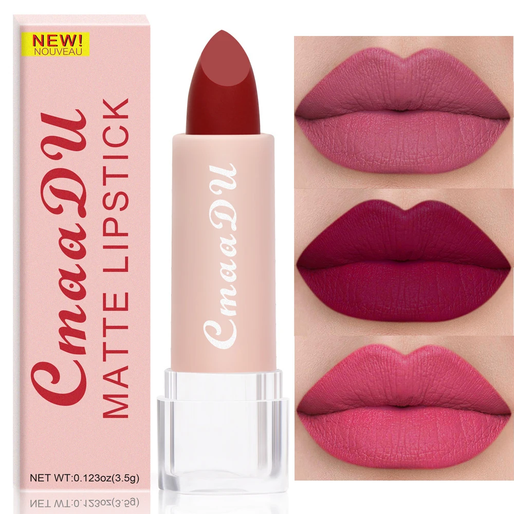 

15 Colors Matte Lipsticks Waterproof Long Lasting Sexy Red Lip Stick Makeup Brown Velvet Pigments Lip Tint Profissional Cosmetic