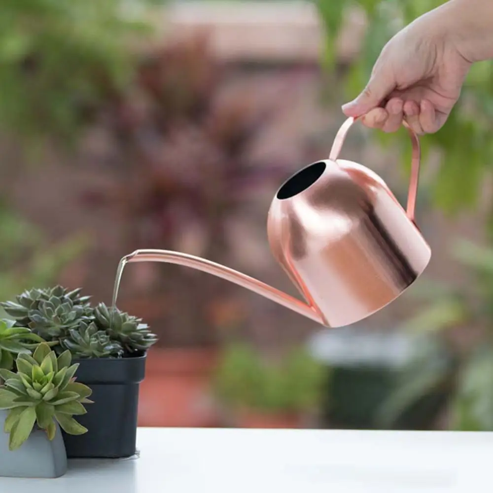 Stainless Steel Long Spout Watering Pot Watering Can 500ML Home Garden Plant Flower Water Can regadera plantas лейка для цветов