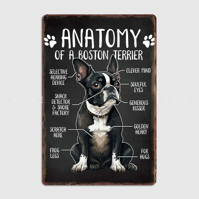 

Anatomy Boston Terrier Dog Metal Plaque Poster Club Cave Classic Plaques Tin Sign Poster Room Decor Wall vintage Home Decoration