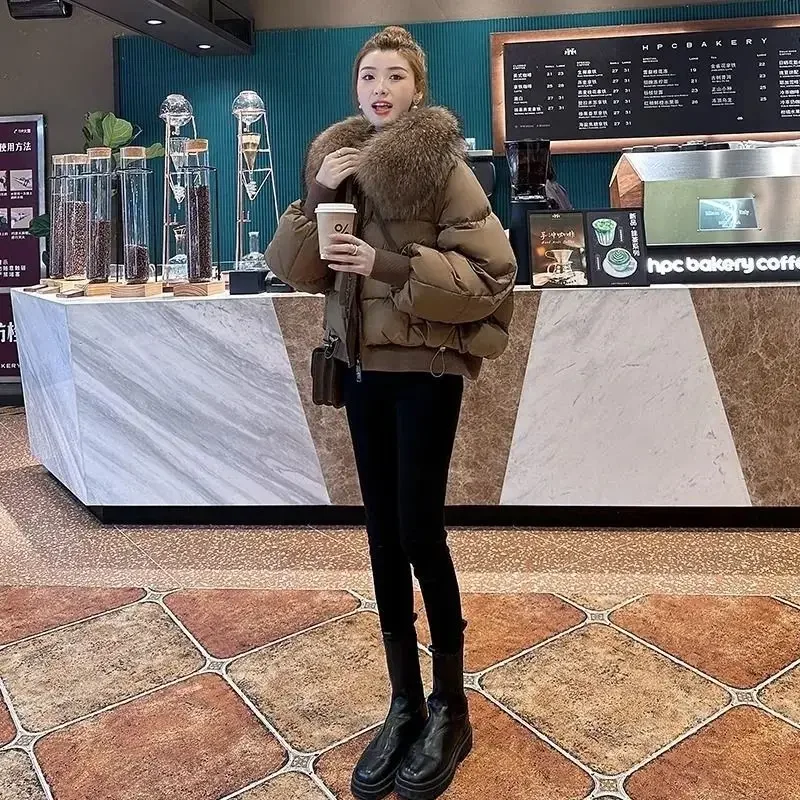 Женский пуховик с большим меховым воротником енота короткая зимняя куртка 2024