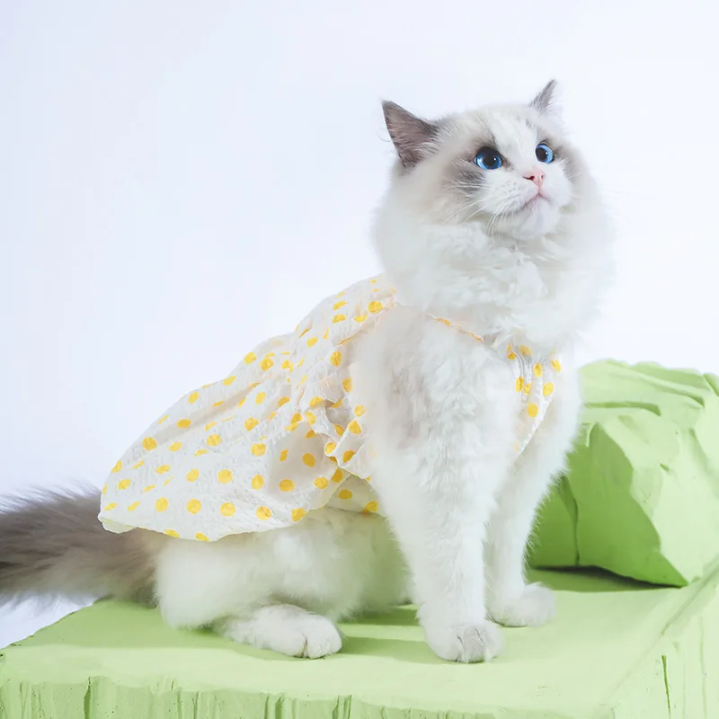 

Pumpkin Dress Pet Clothing Dogs Colorful Skirt Dog Clothes Cat Costume Thin Labrador Suspenders Cute Summer White Girl Mascotas