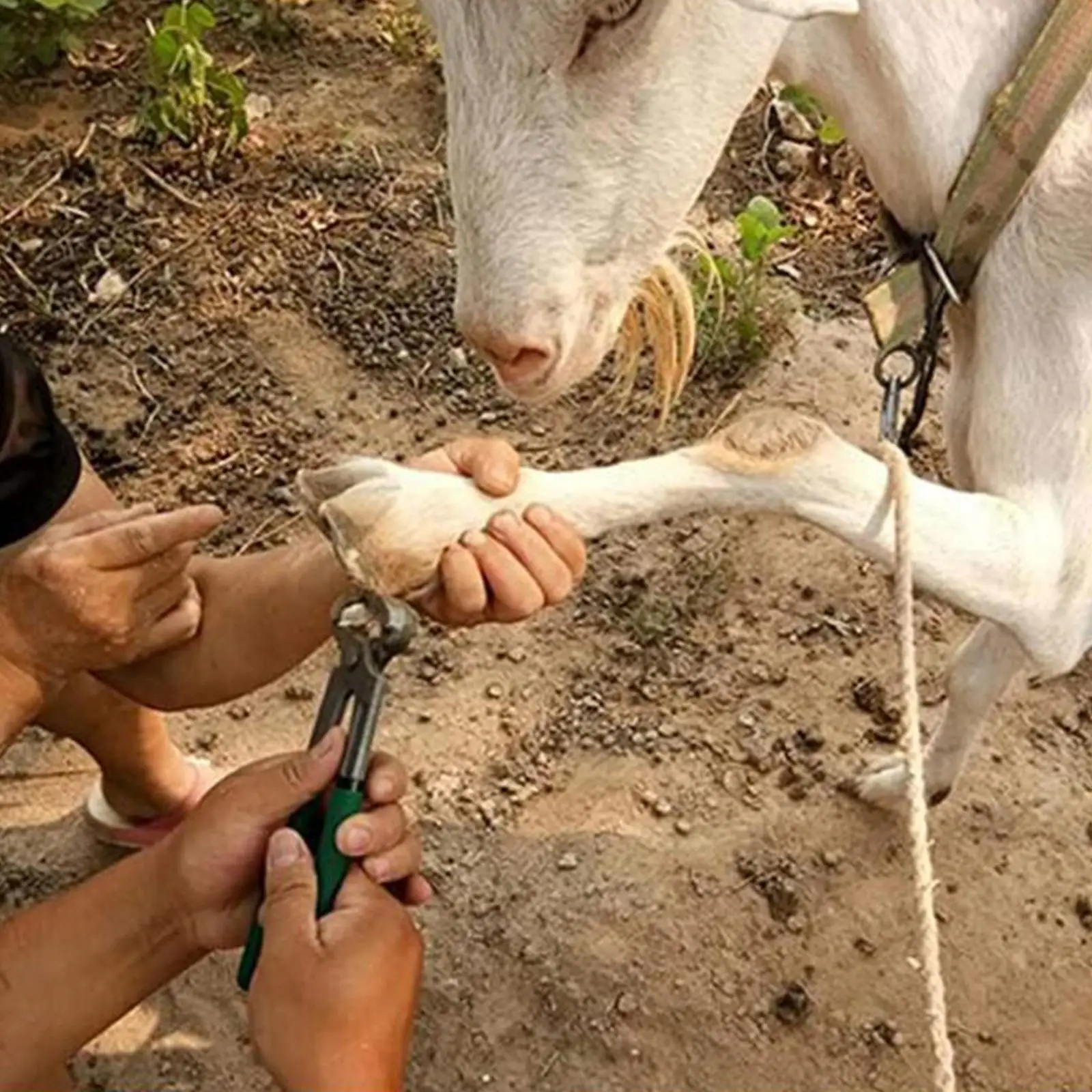 Триммер для копит кусачки инструменты ремонта прочные плоскогубцы