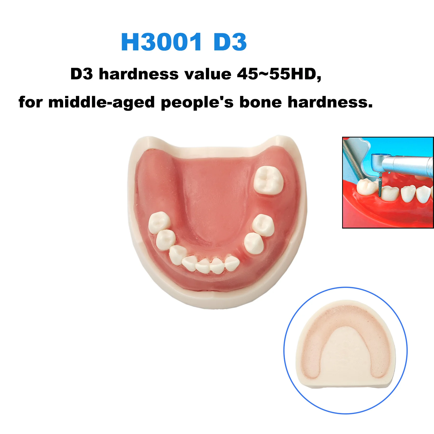 Модель зубного импланта модель для стоматологии тренировочный десен швы