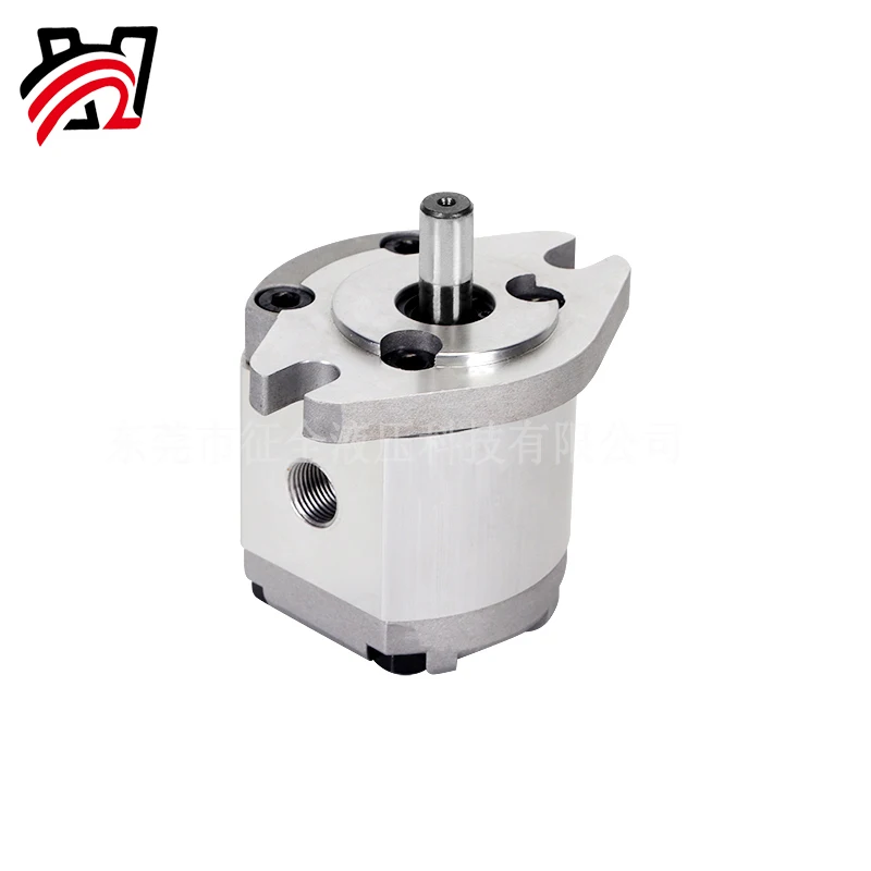 HGP Gear Pump Hydraulic Oil Pump High Pressure Gear Booster Pump Rotary Quantitative Pump HGP-1A-F0.8 to F8R