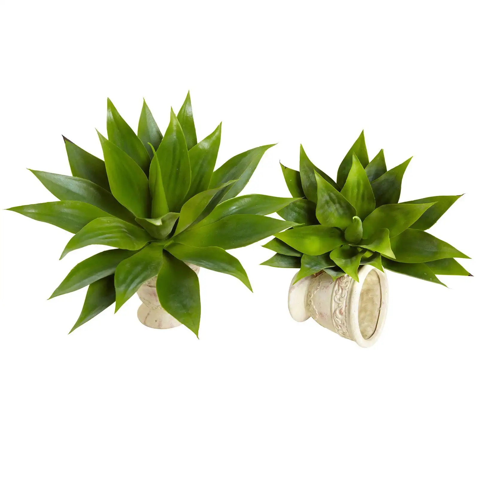

Agave Succulent Silk Plant - Set of 2
