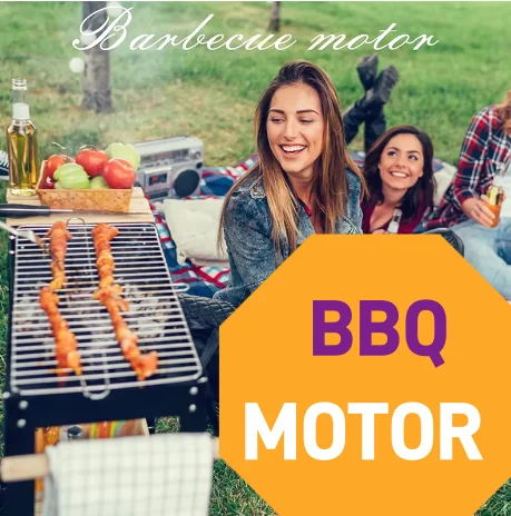 

Синхронный двигатель для гриля 14Вт 220В