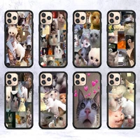 crying cat memes phone case silicone pctpu case for iphone 11 12 13 pro max 8 7 6 plus x se xr hard fundas
