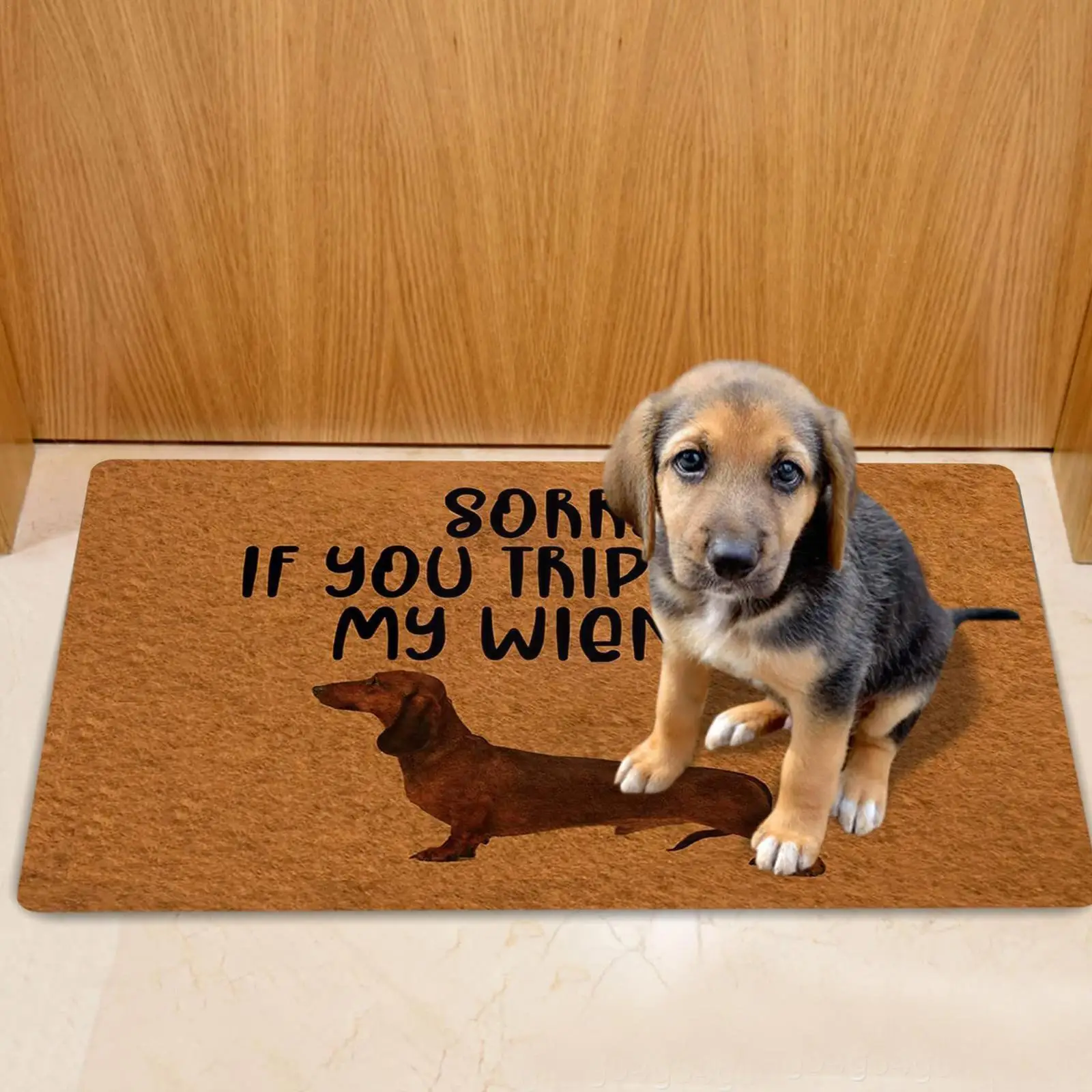 

Floor Door Bathroom Kitchen Mat Dachshund Dog Lovers Sausage Doormat Footpad Entrance Rug Garage Outdoor Carpet Badger Anti V0j5