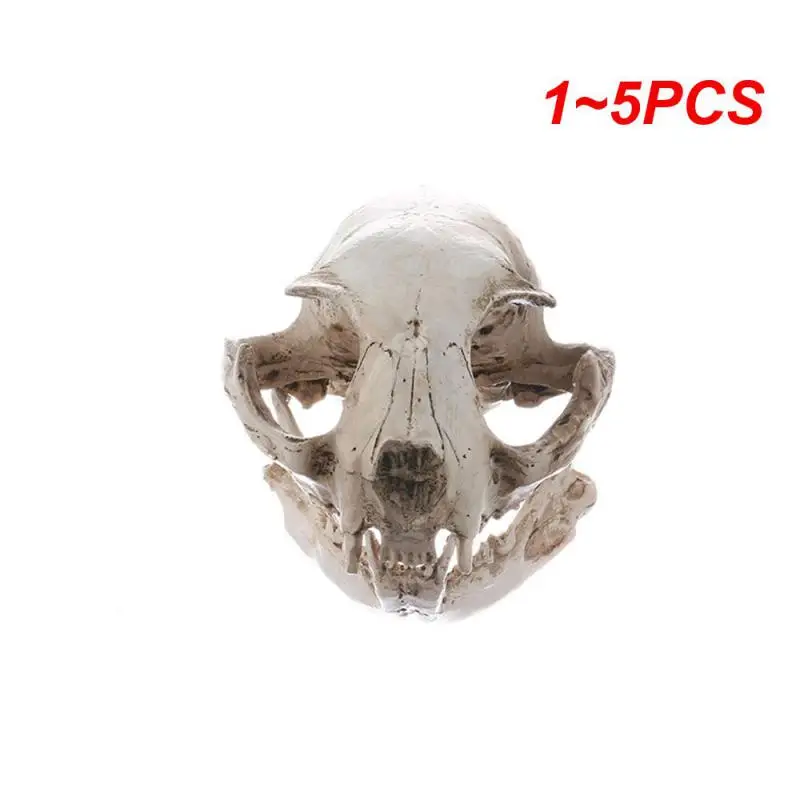 

1~5PCS Resin Realistic Art Replica Animal Cat Skull Model Teaching Skeleton Model Ornament Home Party Decoration