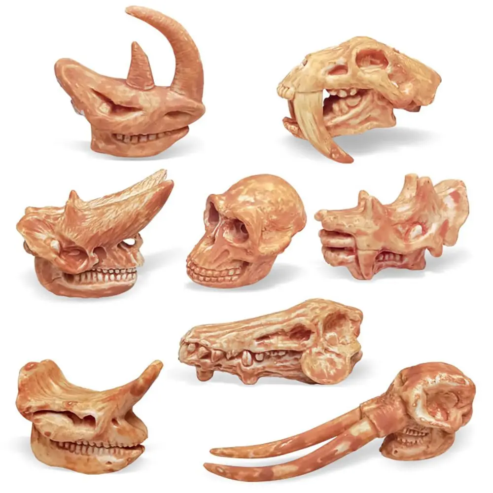 

Природа наука обучающая игрушка Детская познавательная животная реальная археологическая доисторическая млекологическая череп фигурки