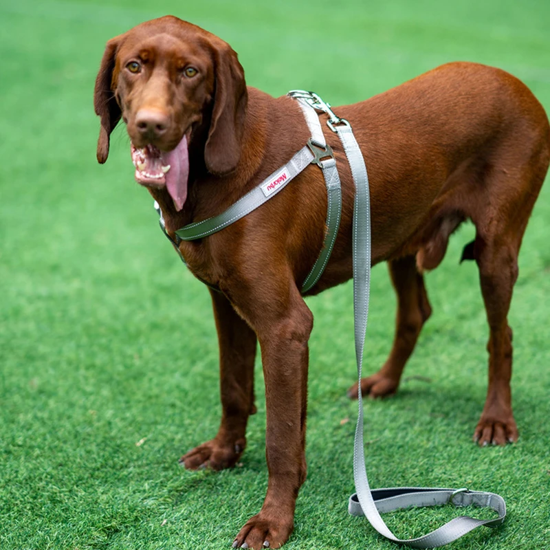 Прочный нейлоновый поводок для собак удобный жилет прогулок и с маленькими