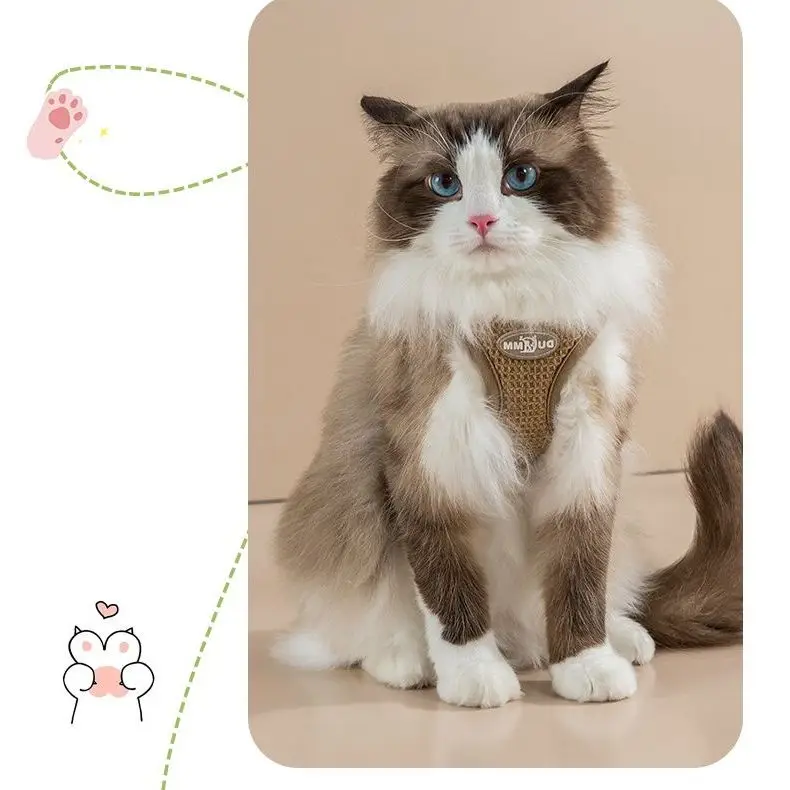 

New Cat Towing Rope Tank Top Dog Chest Strap for Anti Breakout Walking Cat Rope Pet Towing Rope