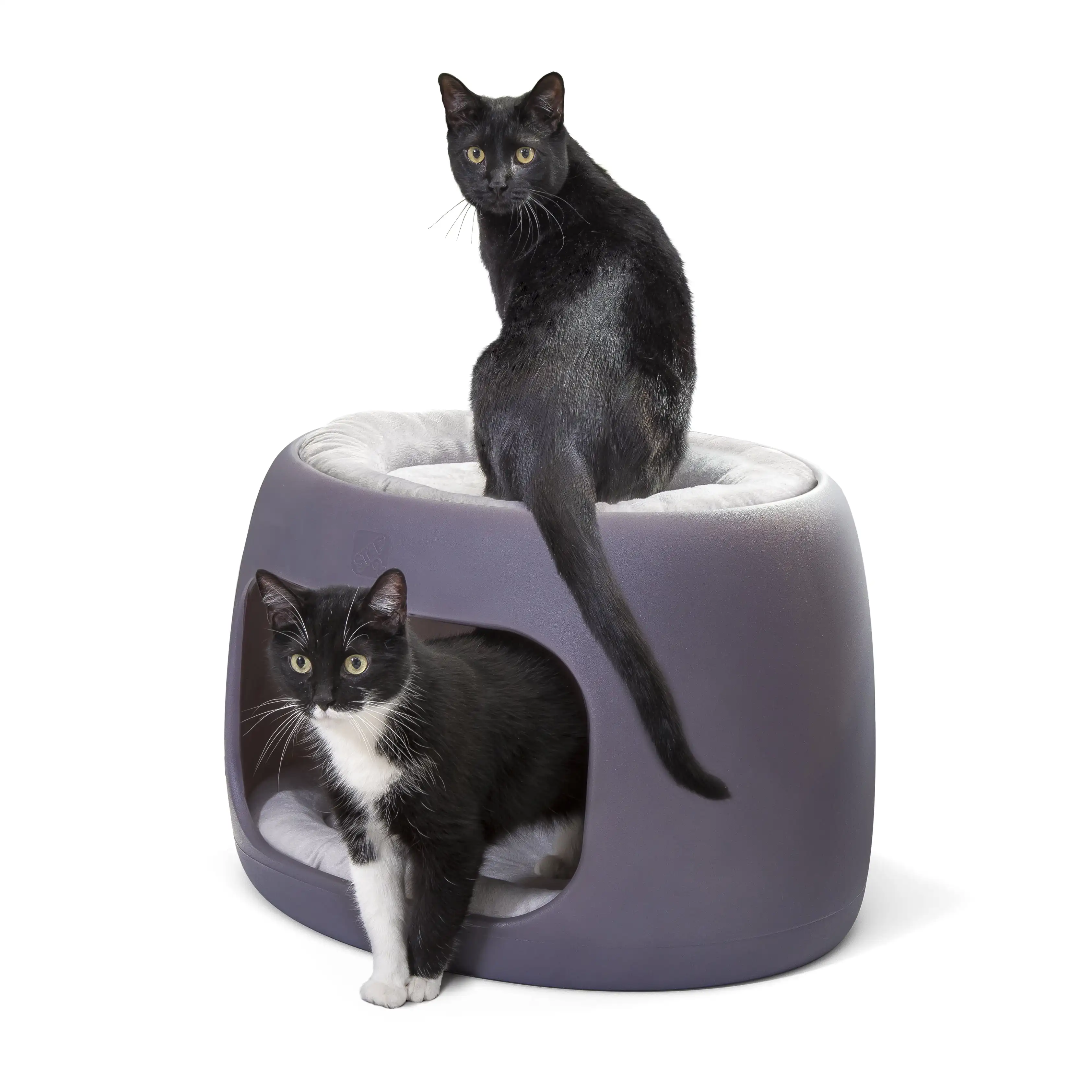 

Free Shipping Furry Friends Bunk Bed for Cat Dog
