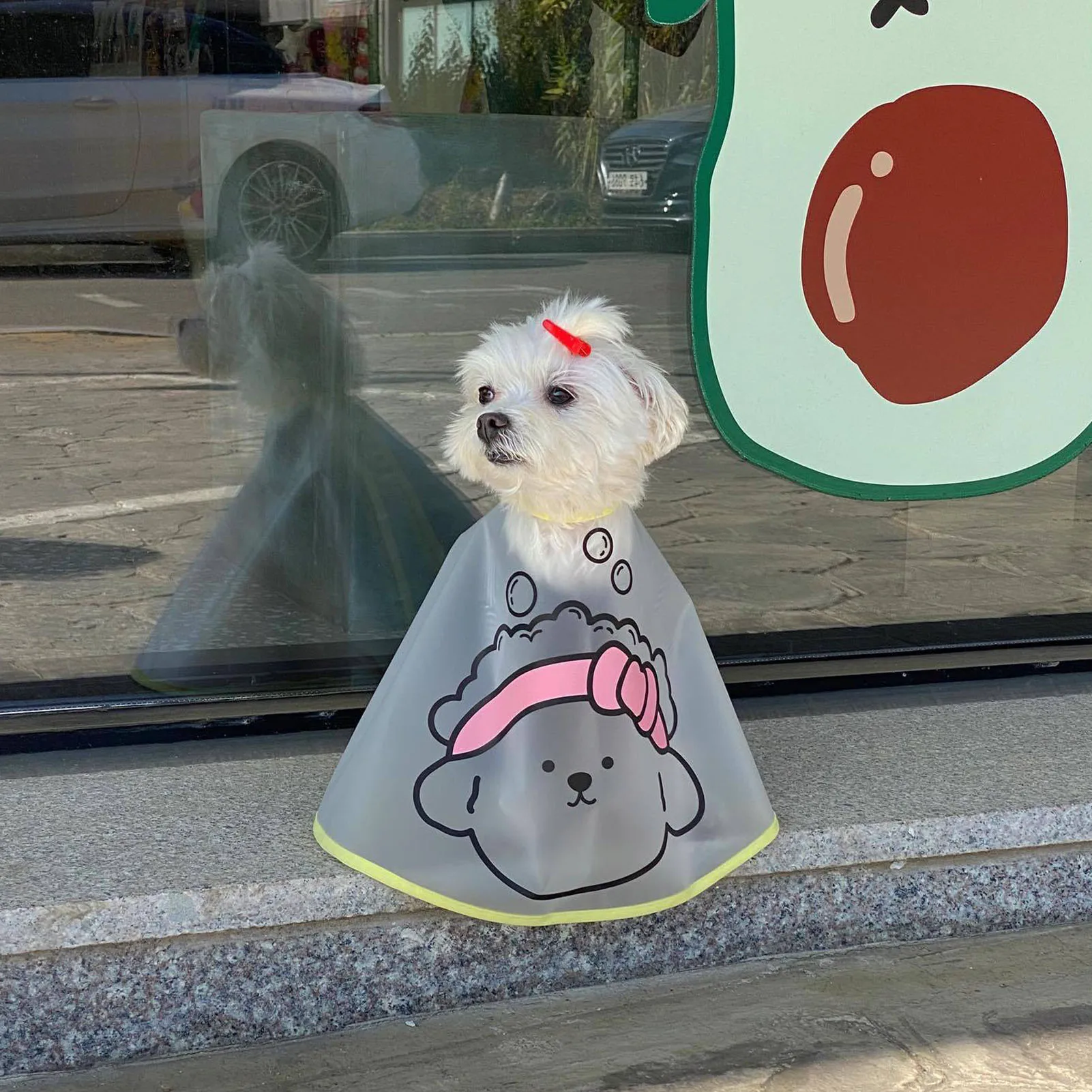 

Водонепроницаемая накидка для собаки, 2022