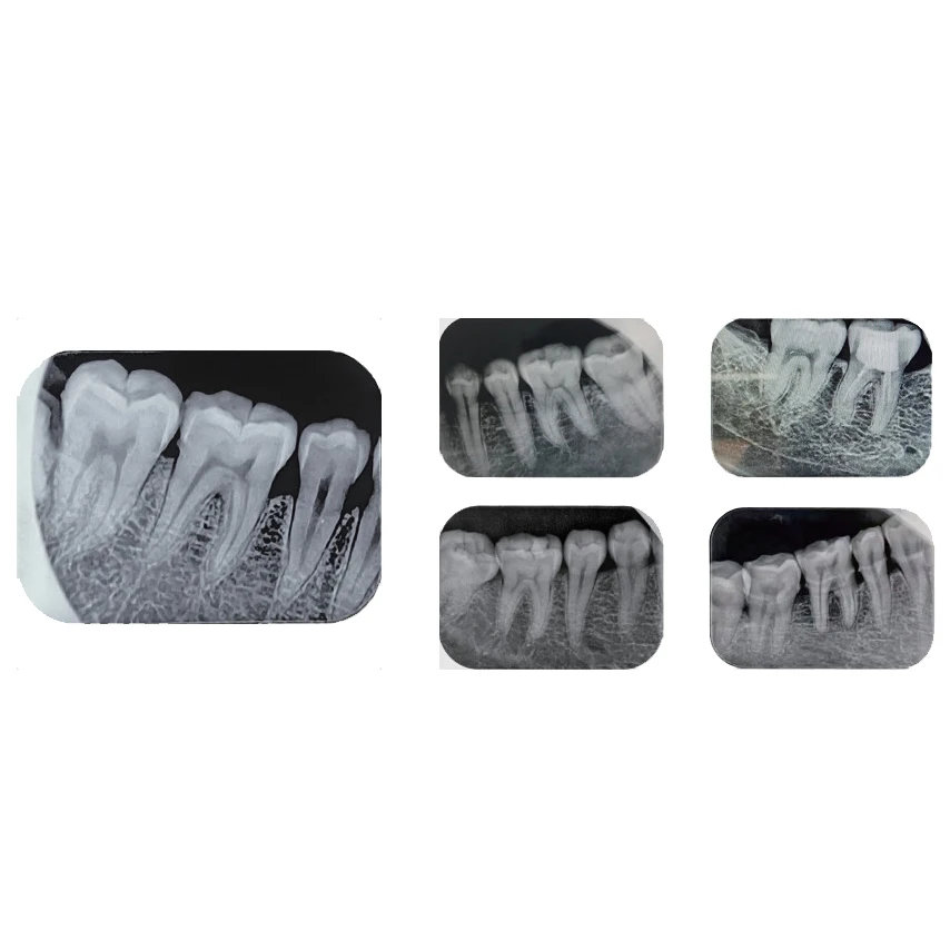 Рисунок 5 - Новейшая модель 2023