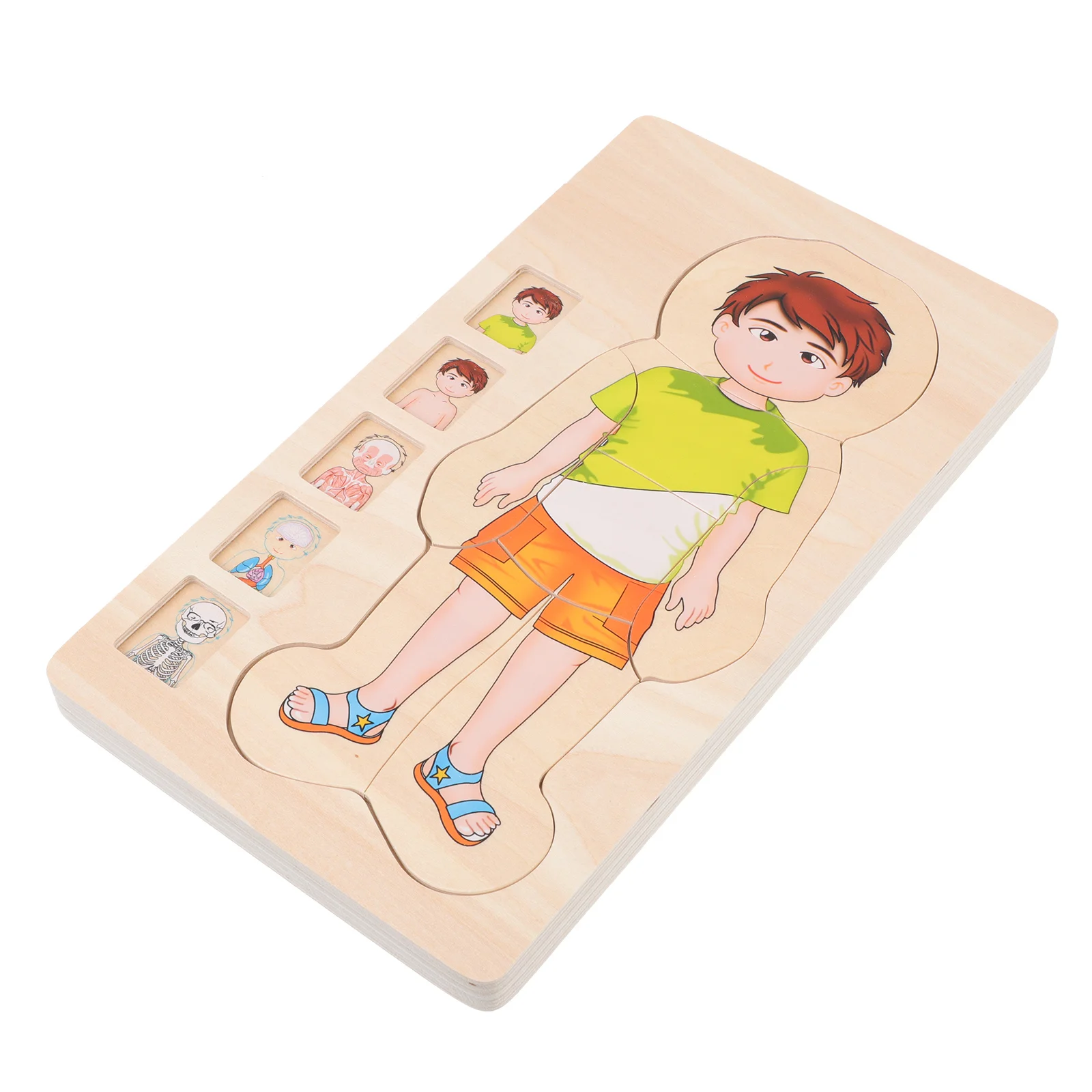 

Puzzle Body Toy Human Kids Anatomy Wooden Structure Educationaltoys Montessori Jigsaw Model Multi Parts Layer Intelligence