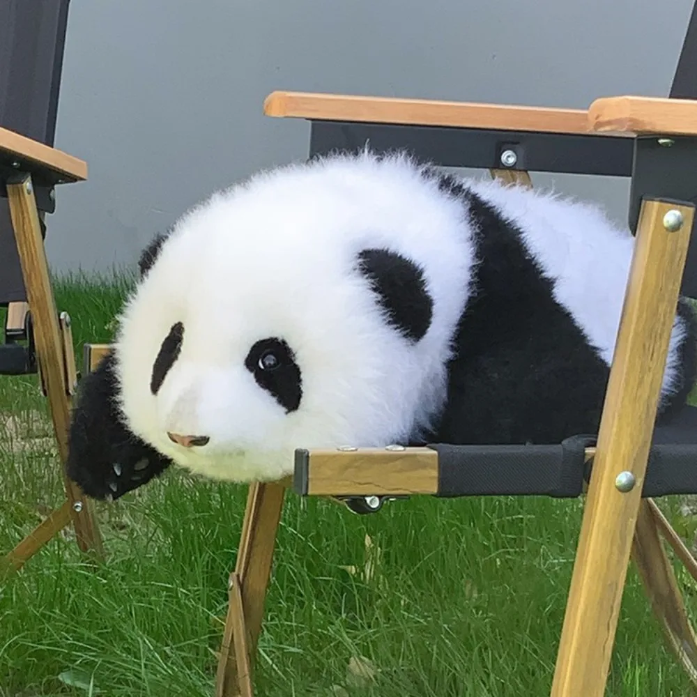 

Decoration Birthday 18 years Graduation Favor Children's Graduation Photo Decor Sheepskin Animal Fur Simulated Panda