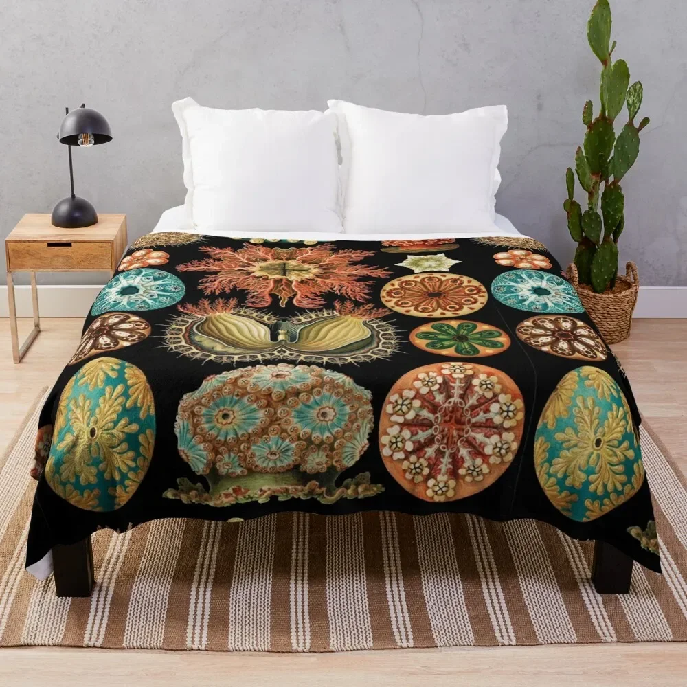 Асцитацея-морские сквирты бросать одеяло тяжелые для сна пушистые одеяла