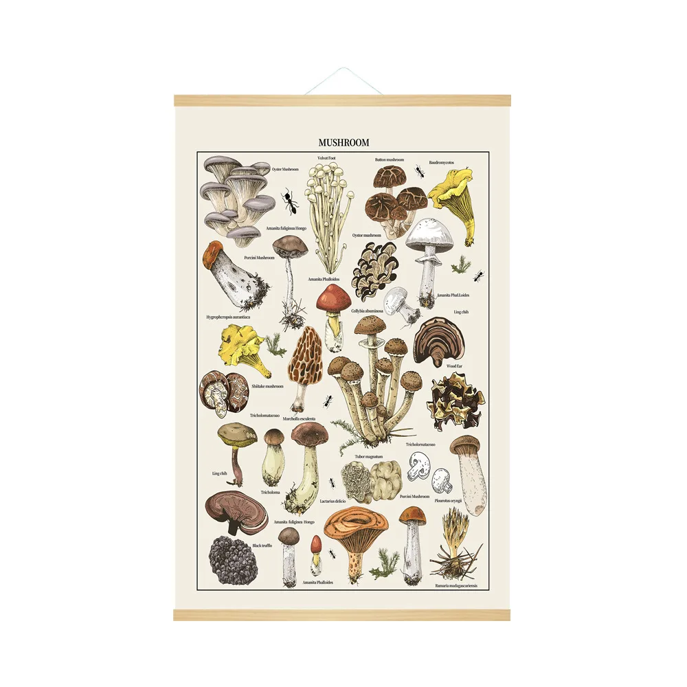 

MUSHROOM plant canvas scroll painting - vintage living room entrance hall hanging banner, room & office wall decor painting